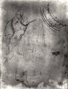 Study of a male nude